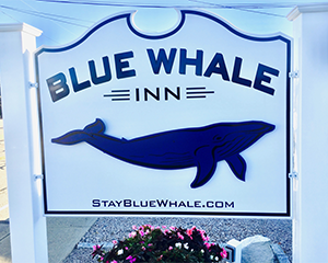 blue whale inn westerly ri