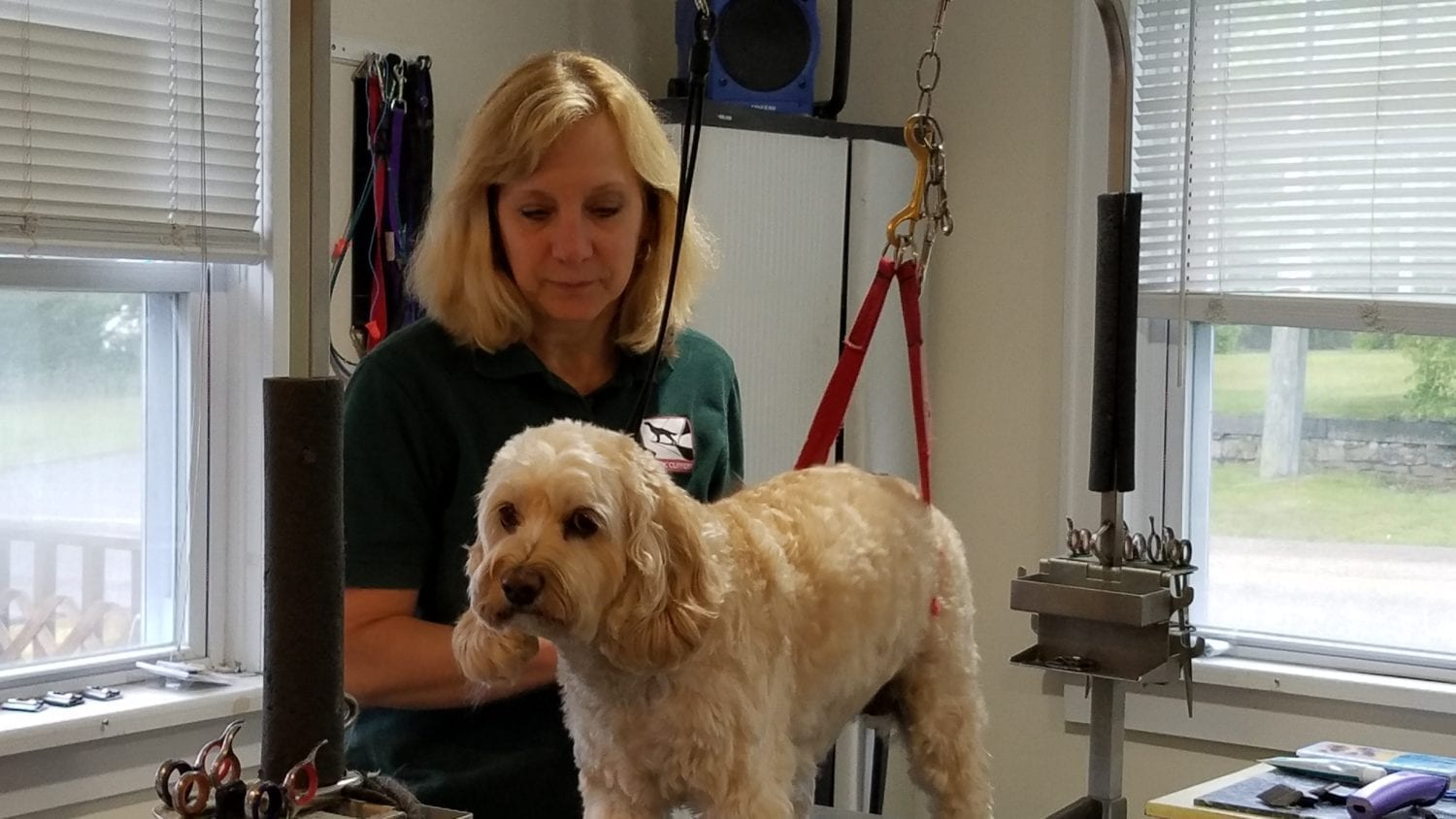 Groomers Galore to Pretty Up Your Pet WESTERLY RI