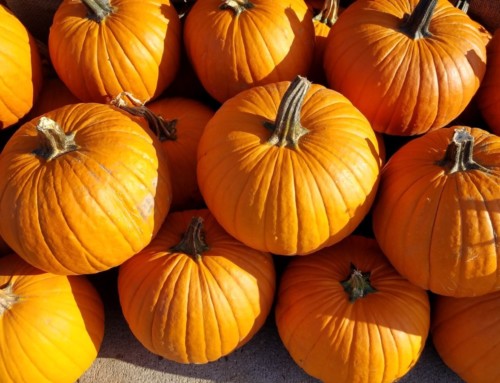 Autumn and Pumpkins and Hayrides, Oh My!
