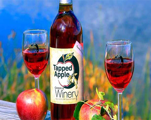 tapped apple winery westerly ri