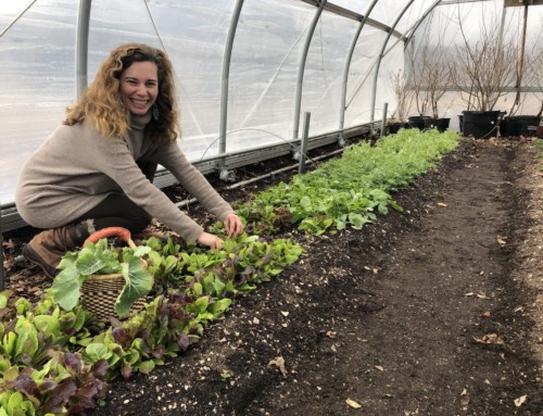 Healthy Soil, Healthy Food with Earth Care Farm